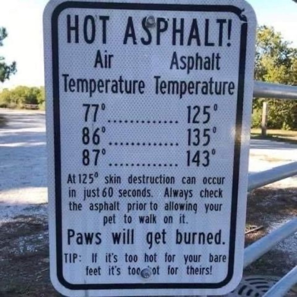 Meet your Posher, Alyx